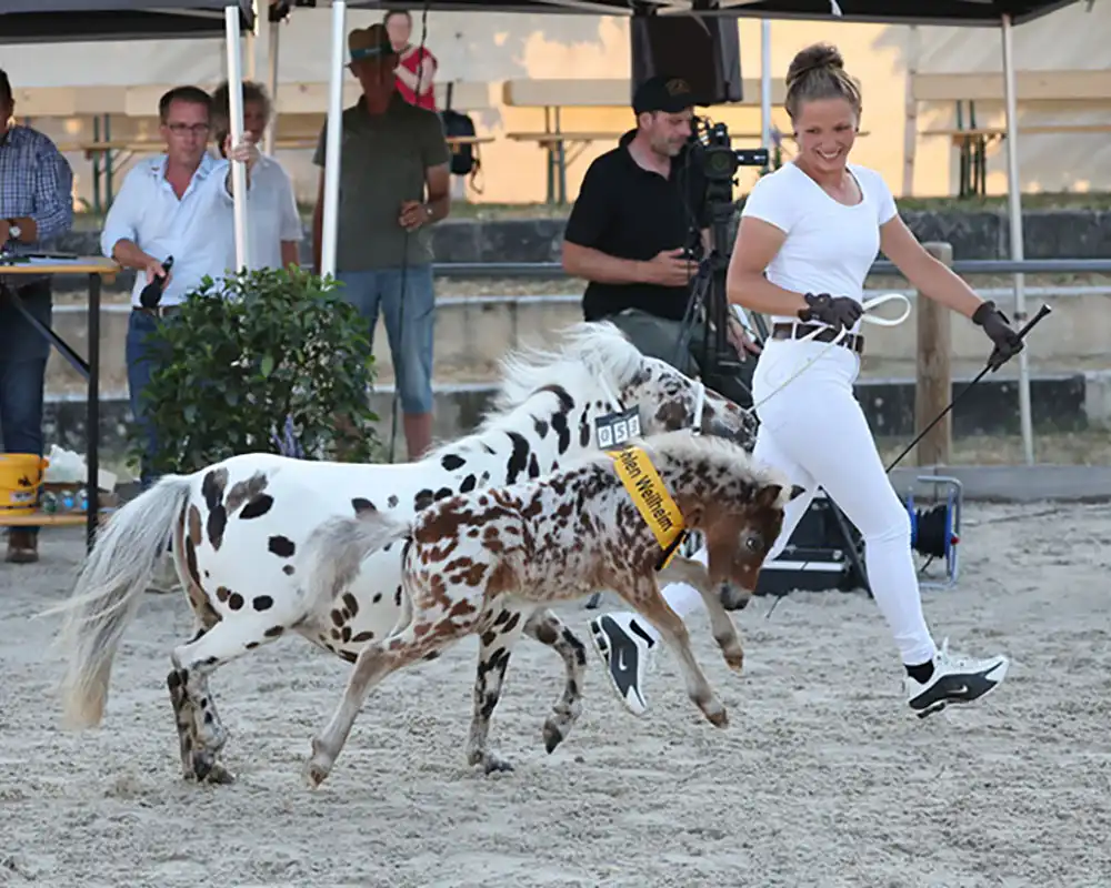 Mühlbächles Tiffany